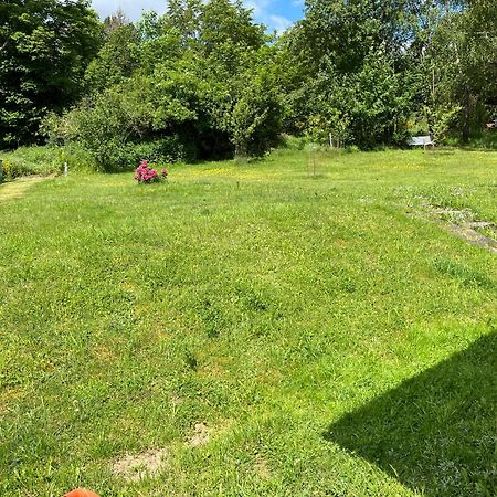 Bromskirchen Blockhaus Ferienzauber IIヴィラ エクステリア 写真