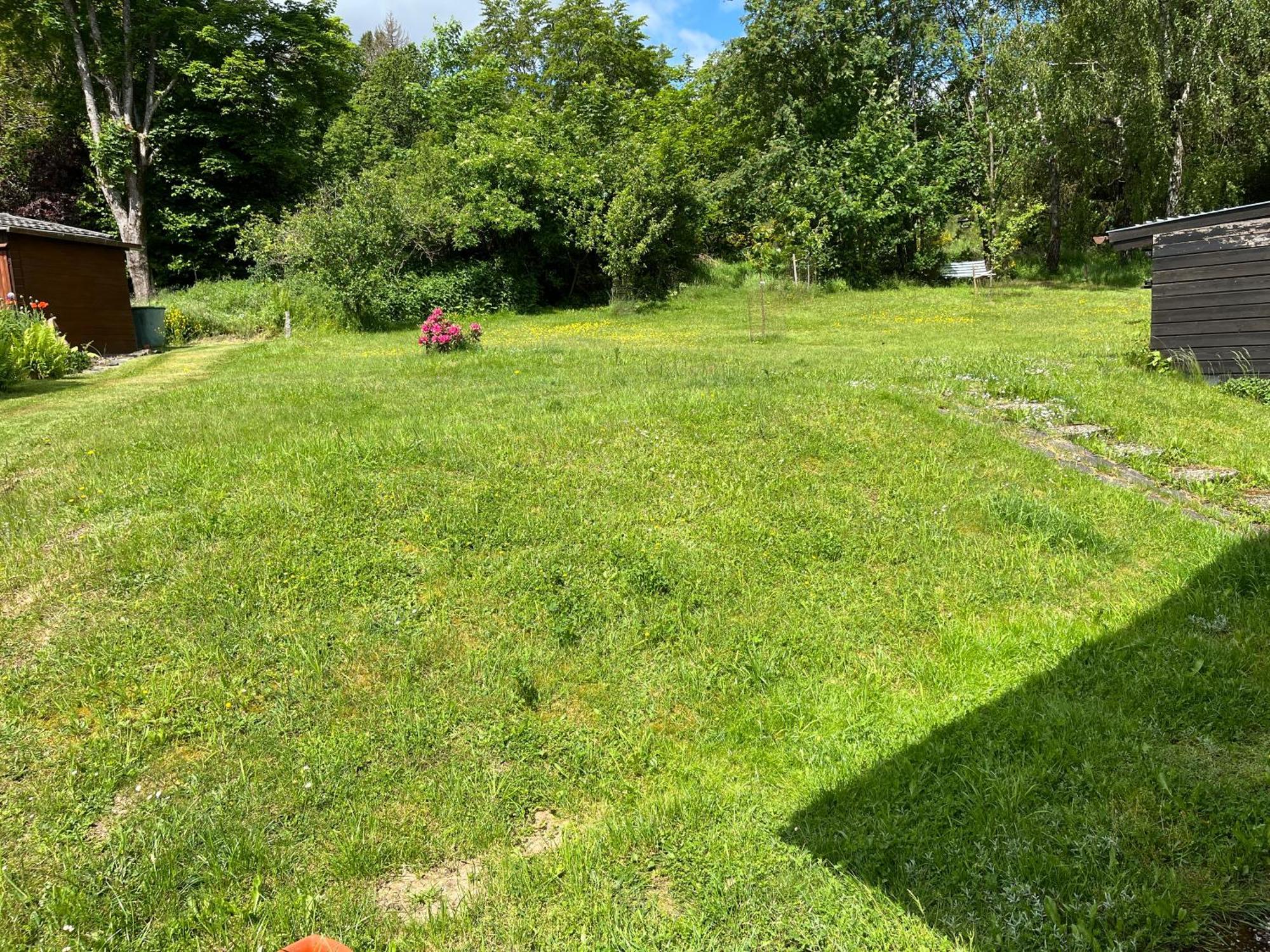 Bromskirchen Blockhaus Ferienzauber IIヴィラ エクステリア 写真